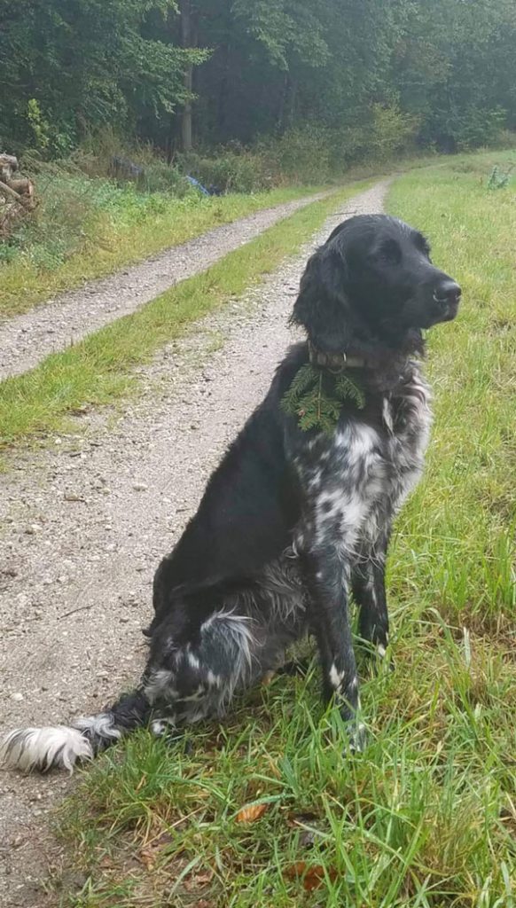 Aleen von Heiligen Born