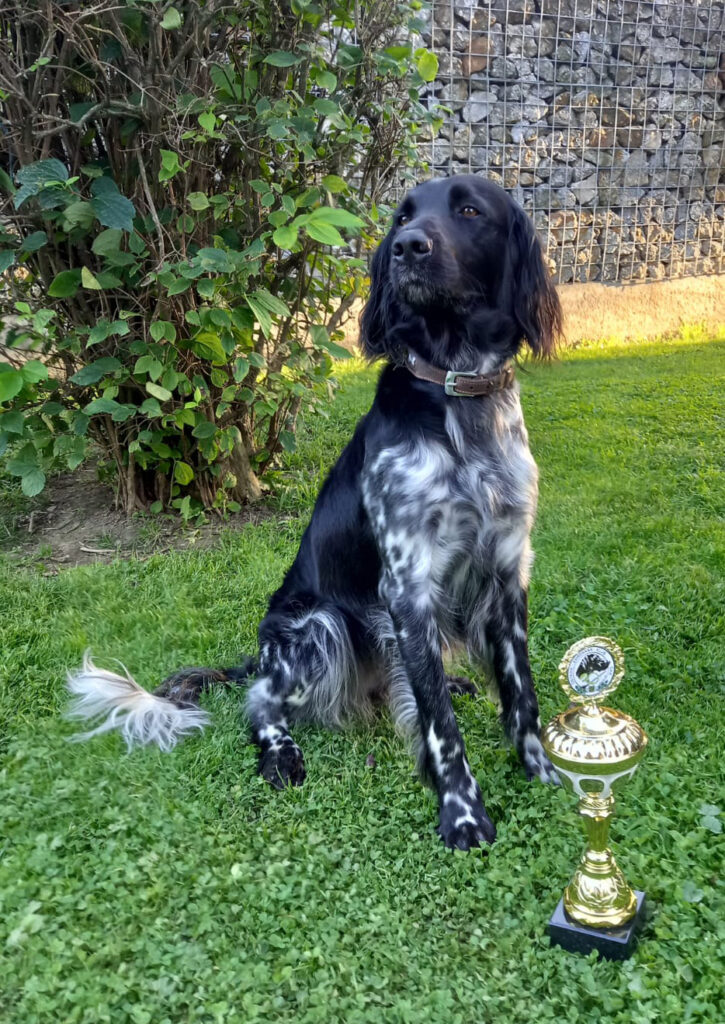 ALEEN VON HEILIGEN BORN