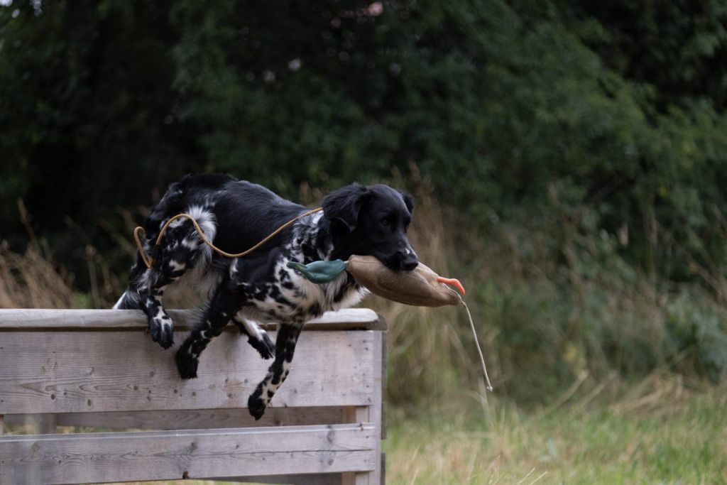 Aika von Heiligen Born
