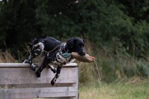 Aika von Heiligen Born