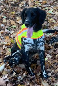 Aika von Heiligen Born