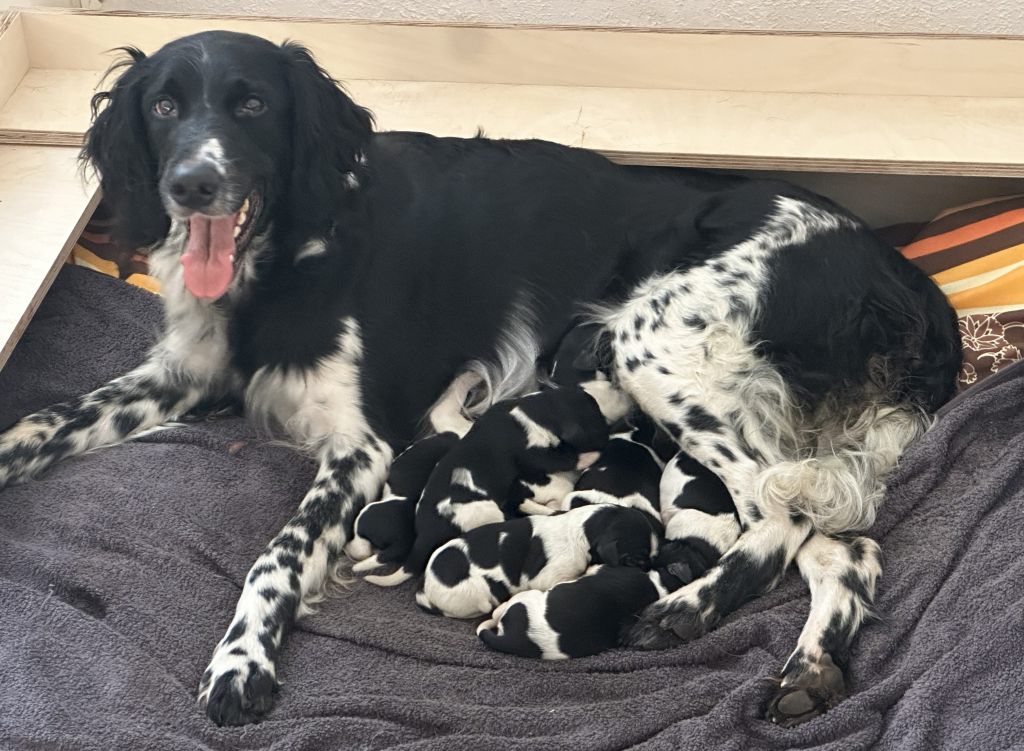 Unsere Christkinder sind da