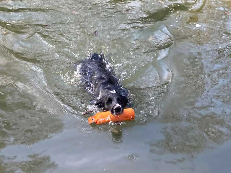 Cali von Heiligen Born