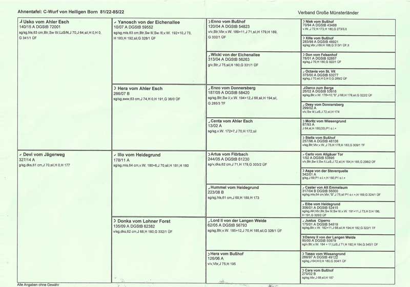 Cali von Heiligen Born