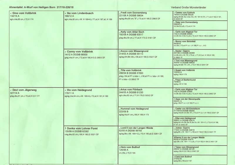 Aika von Heiligen Born