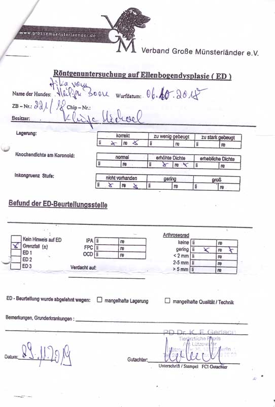 Aika von Heiligen Born