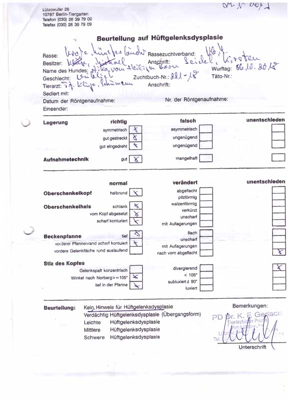 Aika von Heiligen Born