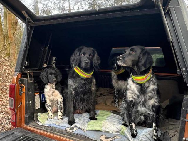 Fee von Heiligen Born