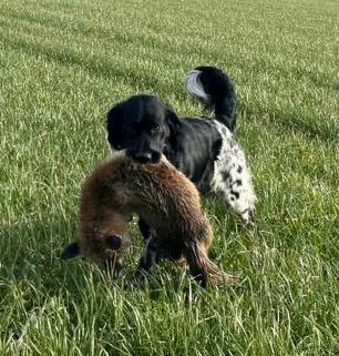 Camilo von Heiligen Born