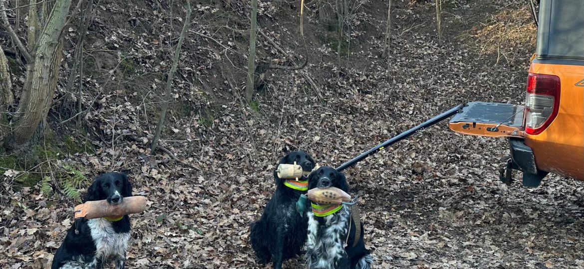 Rampe für große Hunde