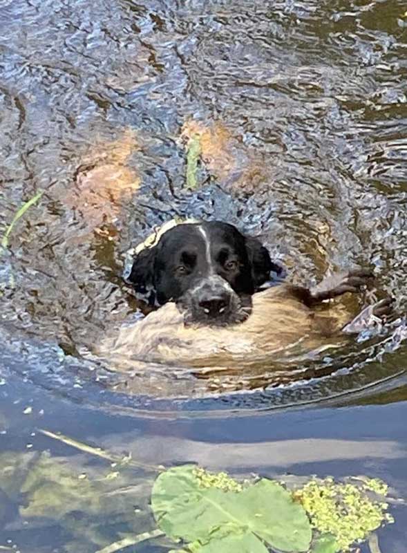 Aaron up de Tinnheuchte